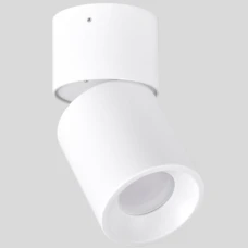 Goldlux Nixa 314239. Спот світильник