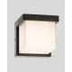 Світильник вуличний настінний Morgan 323279  Goldlux