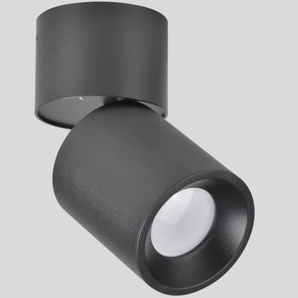 Світильник спот Nixa 314246  Goldlux - Фото 1