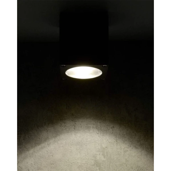 Фасадний світильник Morris 323255  Goldlux - Фото 6