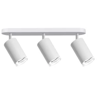 Goldlux Turyn 324801. Спот світильник