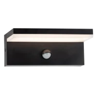 Goldlux Tesa 324054. Світильник фасадний