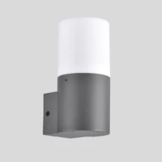 Goldlux Dallas 315960. Настінний вуличний світильник