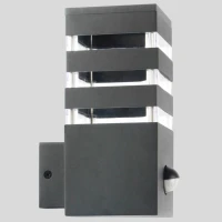 Goldlux Teksas 317667. Світильник фасадний