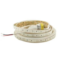 Світлодіодна стрічка 5050-60-IP67-Y-12-12 RD3260AA 12V 12W/m YELLOW Rishang, 1м