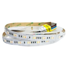 Світлодіодна стрічка 5050-60-IP20-RGB/WW/CWd-12-24 RD0260AC-C 24V 17,6W/m Rishang, 1м
