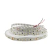 Світлодіодна стрічка 2835-128-IP20-CWd-8-24 RV08C8TC-A 6500К 18324 Rishang