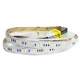 Світлодіодна стрічка 5050-60-IP20-RGB/WW/CWd-12-24  RD0260AC-C  (RGB, 2400K, 6500K) 10898 Rishang