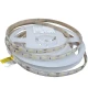 Світлодіодна стрічка 5050-60-IP65-CWd-10-12 RD6060AA 6500K 13054 Rishang