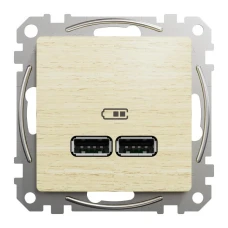 Schneider Sedna Design SDD180401. USB розетка тип A+A 2,1A