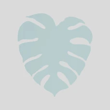 TK Lighting MONSTERA G9 зелений 5913. Настінний світильник