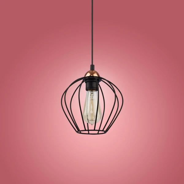 Підвісний світильник TK Lighting GALAXY E27 чорний 1640 - Фото 4