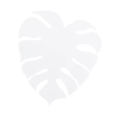 TK Lighting MONSTERA G9 білий 5915. Бра