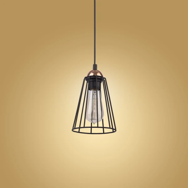 Підвісний світильник TK Lighting GALAXY E27 чорний 1641 - Фото 4