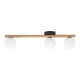 Світильник стельовий TK Lighting ESTERA G9 чорний 4621