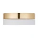 TK Lighting HILTON E27 білий 4772. Стельовий світильник