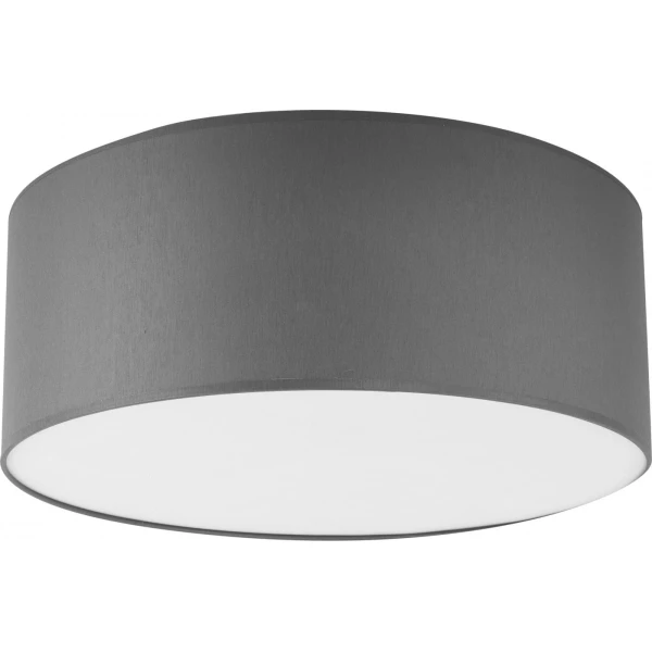 Стельовий світильник TK Lighting TREWIR 4455