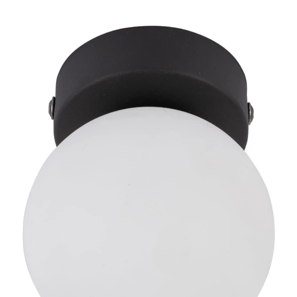 Стельовий світильник TK Lighting MINI G9 чорний 5613 - Фото 3