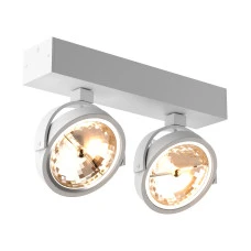 Zuma Line Go 89964-G9. Спот світильник