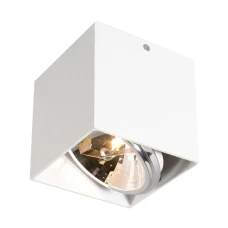 Zuma Line Box 89947-G9. Світильник точковий