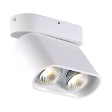 Zuma Line Rondia ACGU10-146. Спот світильник