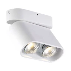 Zuma Line Rondia ACGU10-146. Спот світильник