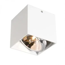Zuma Line Box 89947-G9. Світильник точковий