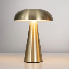 Kloodi TA-5V MUS CCT GD 2700-6500К. Акумуляторна настільна лампа, золота