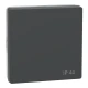 D-life клавіша 1-а IP44, антрацитовий Merten MTN3304-6034 Schneider Electric