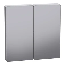 Schneider Electric Merten MTN3400-6036. D-life клавіша подвійна, сталевий