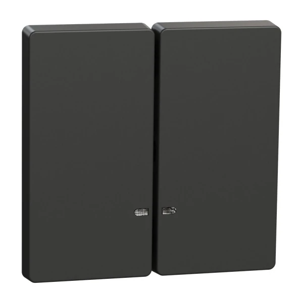 D-life клавіша подвійна для LED, антрацитовий Merten MTN3420-6034 Schneider Electric