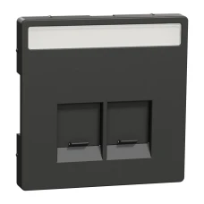 Schneider Electric Merten MTN4574-6034. D-life накладка з полем для напису для розетки із роз’ємом RJ45, 2 пости, антрацитовий