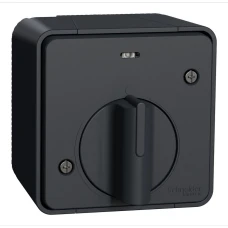 Schneider Electric Mureva Styl MUR35067. Вимикач з таймером IP55, поверхневий монтаж, чорний