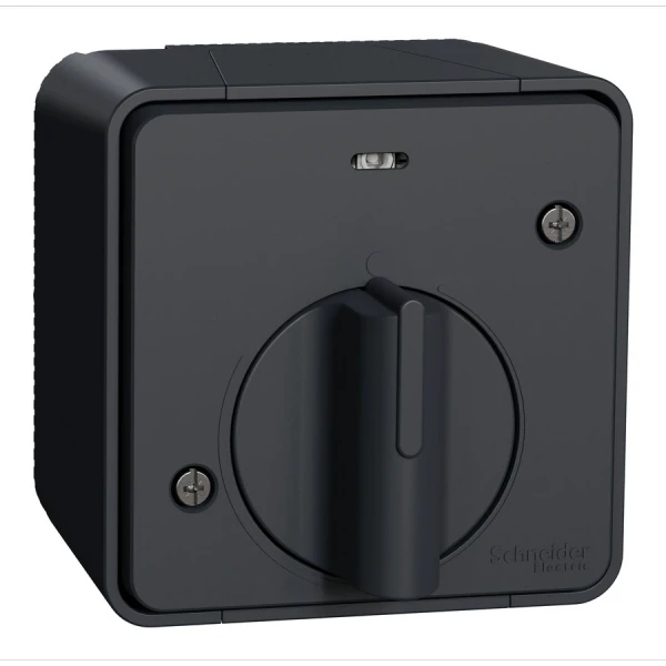 Вимикач з таймером IP55, поверхневий монтаж, чорний Mureva Styl MUR35067 Schneider Electric
