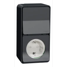 Schneider Electric Mureva Styl MUR36024. Блок розетка+перемикач IP55, вертикальний, поверх. монтаж, чорний