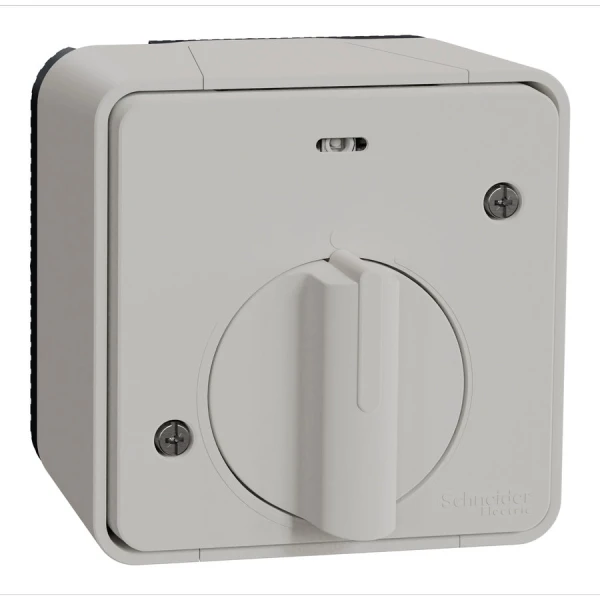 Вимикач з таймером IP55, поверхневий монтаж, білий Mureva Styl MUR39067 Schneider Electric