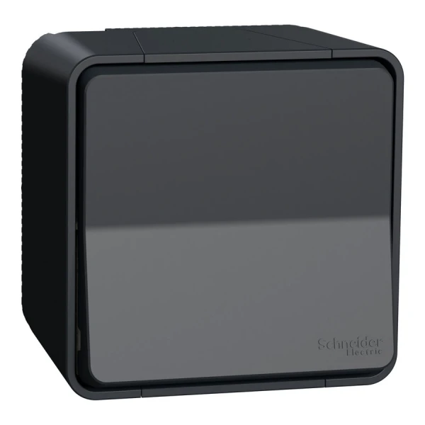 Одноклавішний перехресний перемикач IP55, поверх. монтаж, чорний Mureva Styl MUR35023 Schneider Electric