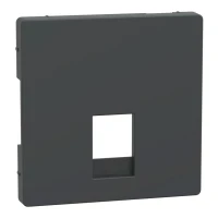 Schneider Electric Merten MTN4215-6034. D-life центральна накладка для 2*rj11/12, антрацитовий