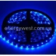Світлодіодна стрічка SMD 3528-60, IP65, 4 Lm/led синя, жовта, червона, зелена