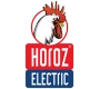Horoz Electric